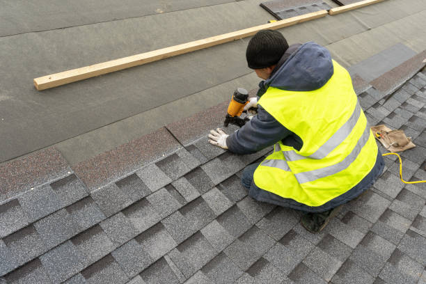 Roof Gutter Cleaning in Fairbanks, AK